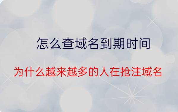 怎么查域名到期时间 为什么越来越多的人在抢注域名？它有什么用途和价值？